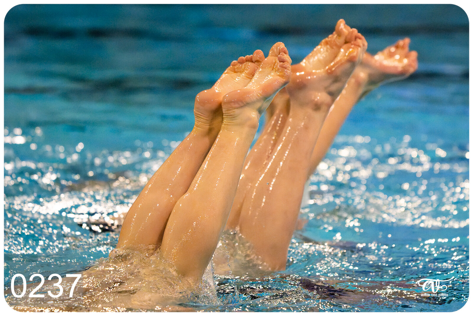 CHAMPIONNAT DE FRANCE DE NATATiON ARTISTIQUE N1 & ELITE 2026